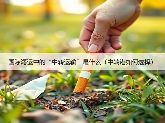 国际海运中的“中转运输”是什么(中转港如何选择)(图3) 国际海运中的“中转运输”是什么(中转港如何选择)(图3)