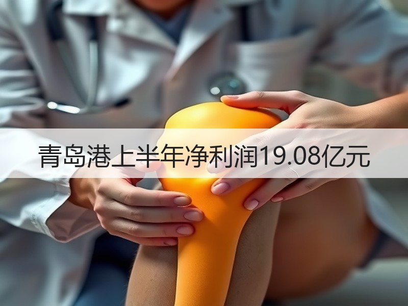 青岛港上半年净利润19.08亿元