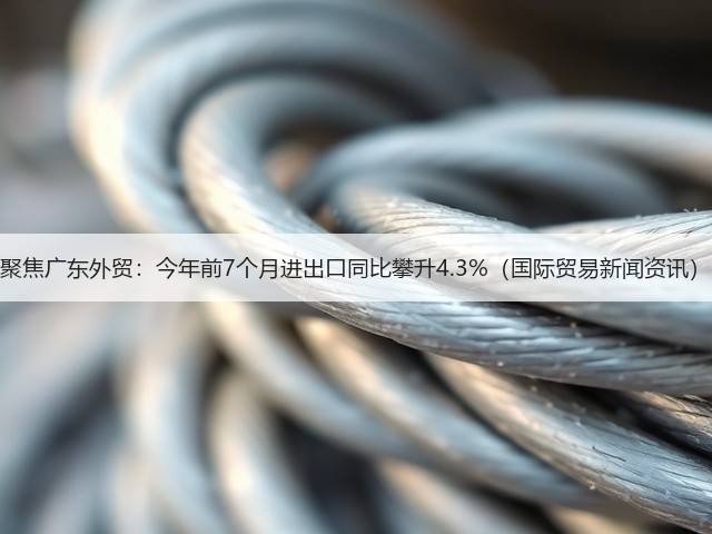 聚焦广东外贸:今年前7个月进出口同比攀升4.3%(国际贸易新闻资讯)(图1) 聚焦广东外贸:今年前7个月进出口同比攀升4.3%(国际贸易新闻资讯)(图1)