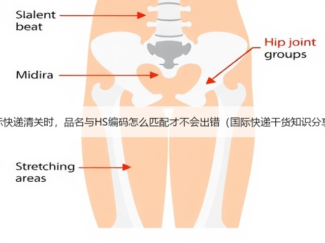 国际快递清关时,品名与HS编码怎么匹配才不会出错(国际快递干货知识分享)(图1) 国际快递清关时,品名与HS编码怎么匹配才不会出错(国际快递干货知识分享)(图1)