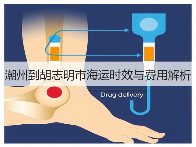潮州到胡志明市海运时效与费用解析(图2)