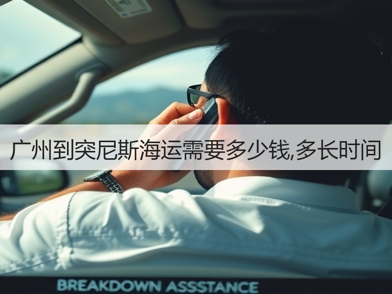 广州到突尼斯海运需要多少钱,多长时间 广州到突尼斯海运需要多少钱,多长时间