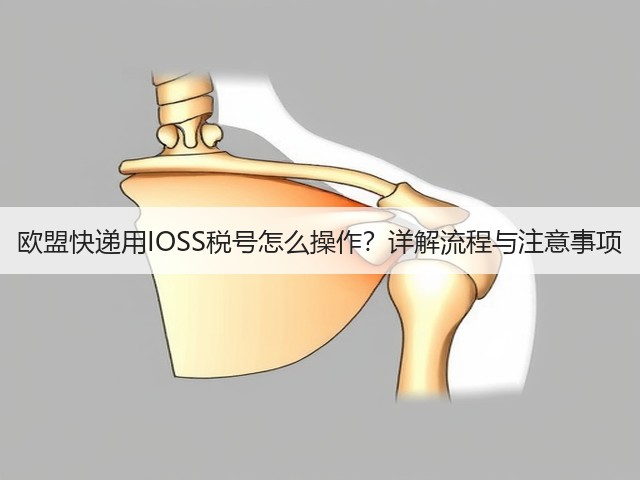 欧盟快递用IOSS税号怎么操作?详解流程与注意事项(图2) 欧盟快递用IOSS税号怎么操作?详解流程与注意事项(图2)