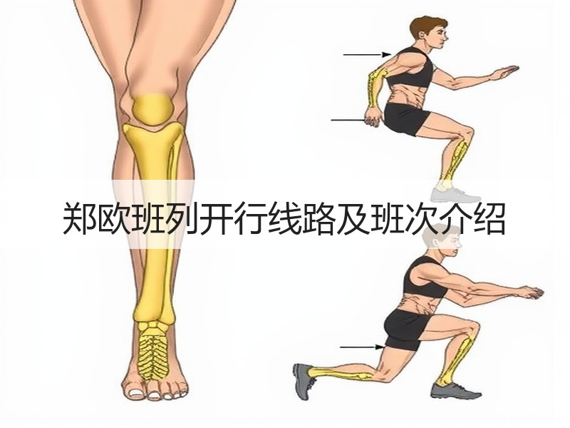 郑欧班列开行线路及班次介绍 郑欧班列开行线路及班次介绍