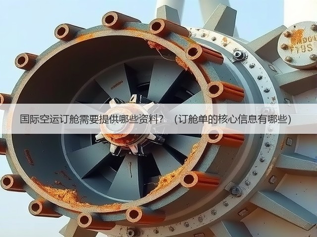 国际空运订舱需要提供哪些资料?(订舱单的核心信息有哪些)(图3) 国际空运订舱需要提供哪些资料?(订舱单的核心信息有哪些)(图3)