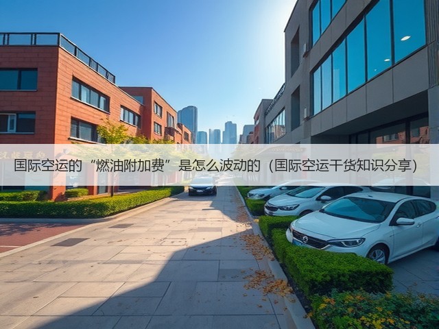 国际空运的“燃油附加费”是怎么波动的（国际空运干货知识分享）(图1)