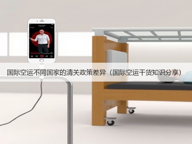 国际空运不同国家的清关政策差异（国际空运干货知识分享）(图2)