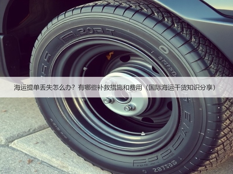 海运提单丢失怎么办？有哪些补救措施和费用（国际海运干货知识分享）