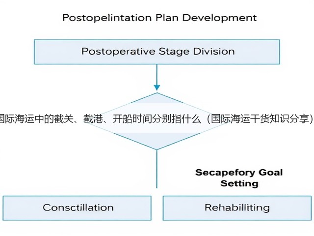 国际海运中的截关、截港、开船时间分别指什么(国际海运干货知识分享)(图3) 国际海运中的截关、截港、开船时间分别指什么(国际海运干货知识分享)(图3)