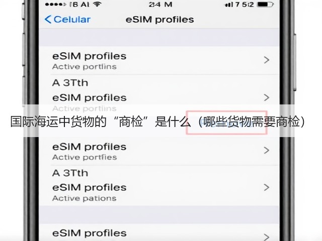 国际海运中货物的“商检”是什么(哪些货物需要商检)(图1) 国际海运中货物的“商检”是什么(哪些货物需要商检)(图1)