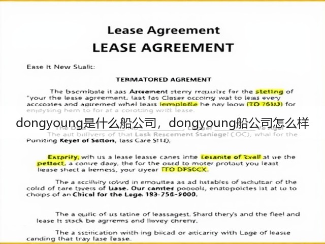 dongyoung是什么船公司，dongyoung船公司怎么样(图3)