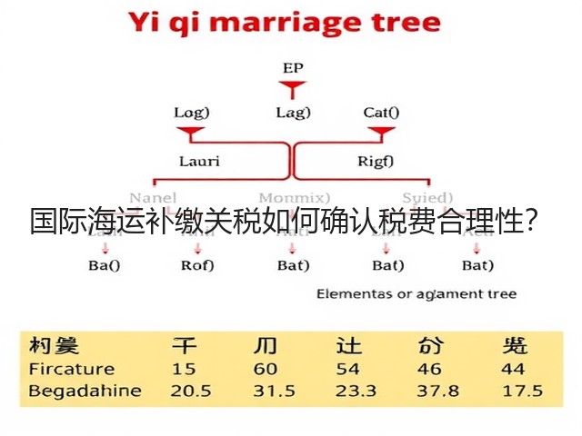 国际海运补缴关税如何确认税费合理性?(图2) 国际海运补缴关税如何确认税费合理性?(图2)