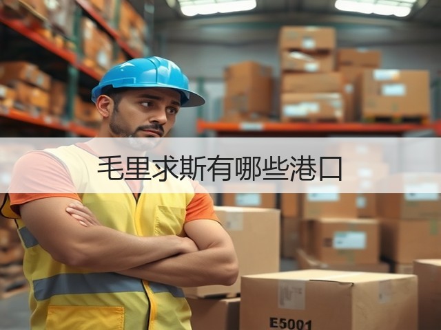 毛里求斯有哪些港口(图3) 毛里求斯有哪些港口(图3)