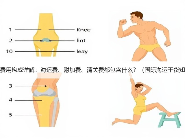 国际海运费用构成详解:海运费、附加费、清关费都包含什么?(国际海运干货知识分享)(图3) 国际海运费用构成详解:海运费、附加费、清关费都包含什么?(国际海运干货知识分享)(图3)