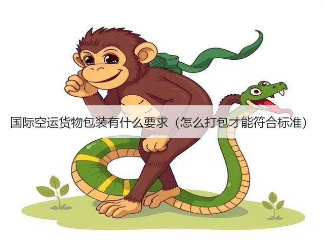 国际空运货物包装有什么要求(怎么打包才能符合标准)(图3) 国际空运货物包装有什么要求(怎么打包才能符合标准)(图3)