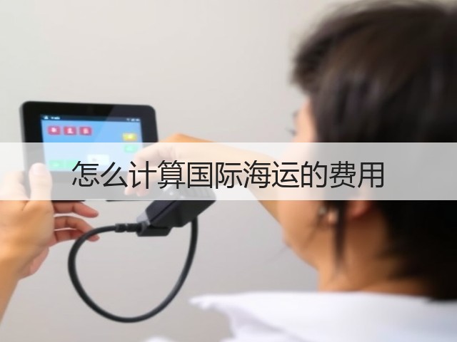 怎么计算国际海运的费用(图3)