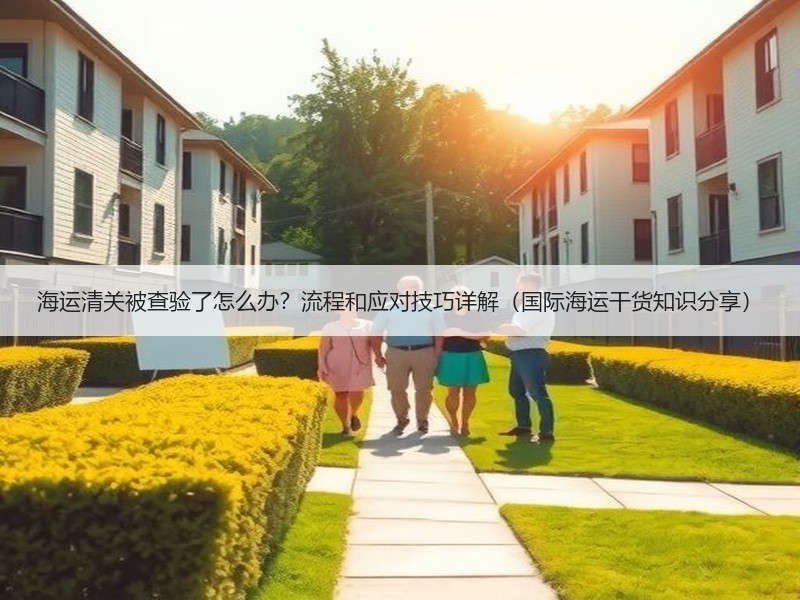 海运清关被查验了怎么办?流程和应对技巧详解(国际海运干货知识分享) 海运清关被查验了怎么办?流程和应对技巧详解(国际海运干货知识分享)