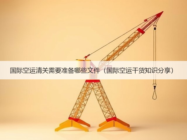 国际空运清关需要准备哪些文件(国际空运干货知识分享)(图1) 国际空运清关需要准备哪些文件(国际空运干货知识分享)(图1)