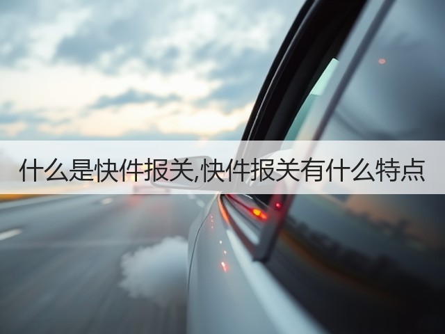 什么是快件报关,快件报关有什么特点(图2) 什么是快件报关,快件报关有什么特点(图2)