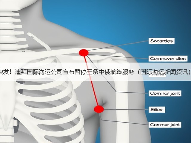 突发!迪拜国际海运公司宣布暂停三条中俄航线服务(国际海运新闻资讯)(图2) 突发!迪拜国际海运公司宣布暂停三条中俄航线服务(国际海运新闻资讯)(图2)