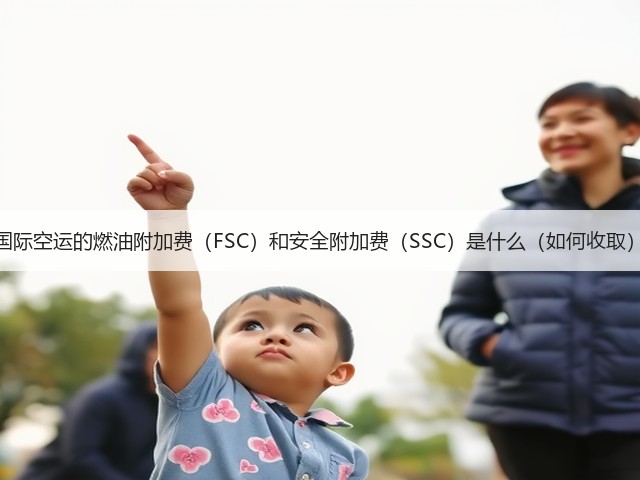 国际空运的燃油附加费(FSC)和安全附加费(SSC)是什么(如何收取)(图1) 国际空运的燃油附加费(FSC)和安全附加费(SSC)是什么(如何收取)(图1)