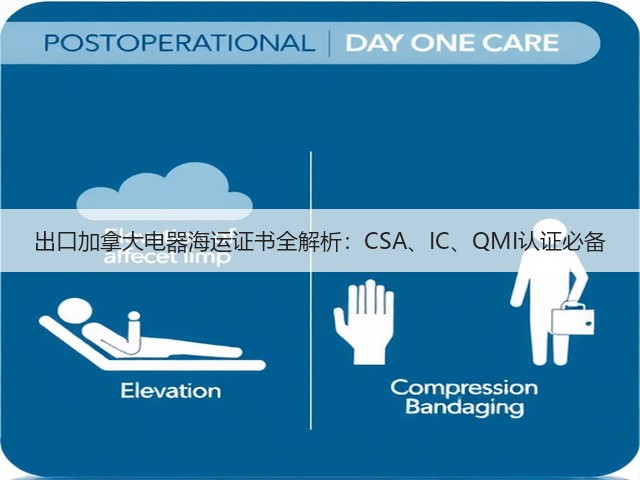 出口加拿大电器海运证书全解析:CSA、IC、QMI认证必备(图3) 出口加拿大电器海运证书全解析:CSA、IC、QMI认证必备(图3)