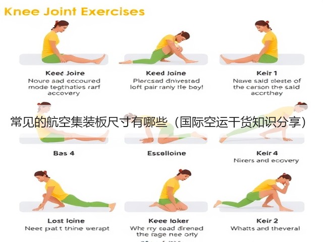 常见的航空集装板尺寸有哪些(国际空运干货知识分享)(图1) 常见的航空集装板尺寸有哪些(国际空运干货知识分享)(图1)