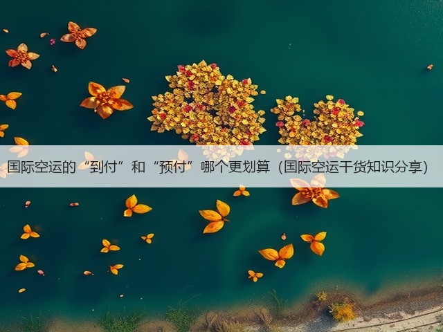 国际空运的“到付”和“预付”哪个更划算（国际空运干货知识分享）(图2)