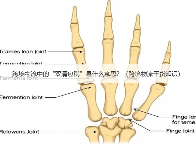 跨境物流中的“双清包税”是什么意思?(跨境物流干货知识)(图1) 跨境物流中的“双清包税”是什么意思?(跨境物流干货知识)(图1)