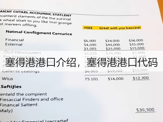 塞得港港口介绍，塞得港港口代码(图2)