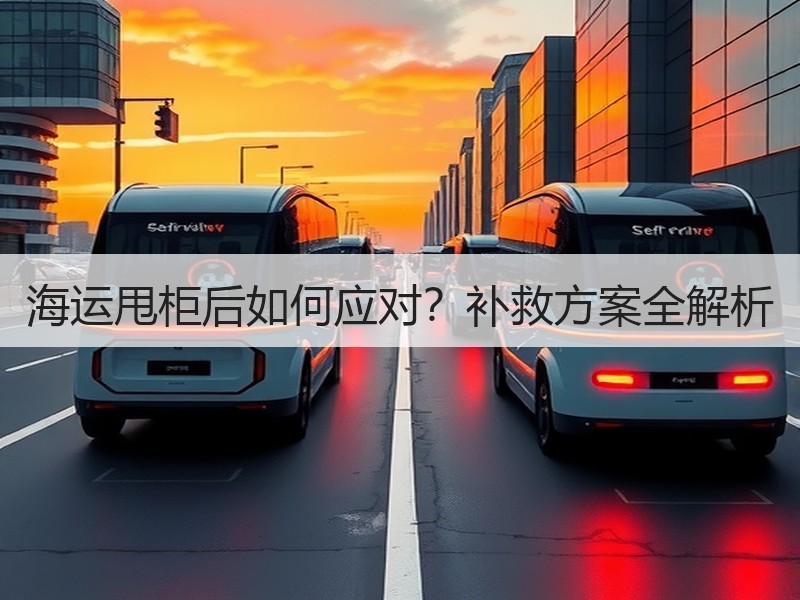 海运甩柜后如何应对？补救方案全解析