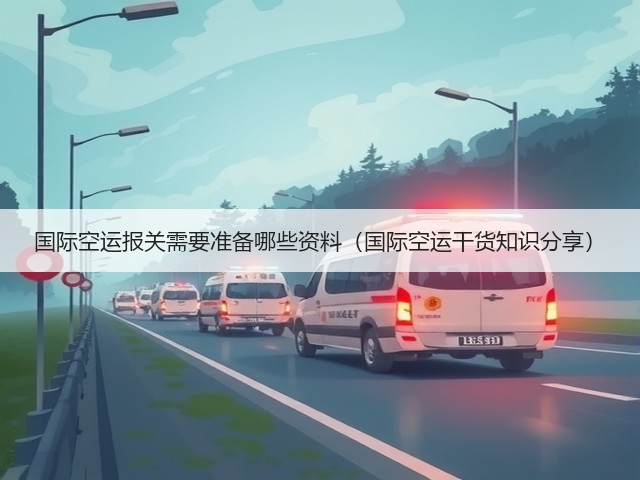 国际空运报关需要准备哪些资料(国际空运干货知识分享)(图2) 国际空运报关需要准备哪些资料(国际空运干货知识分享)(图2)