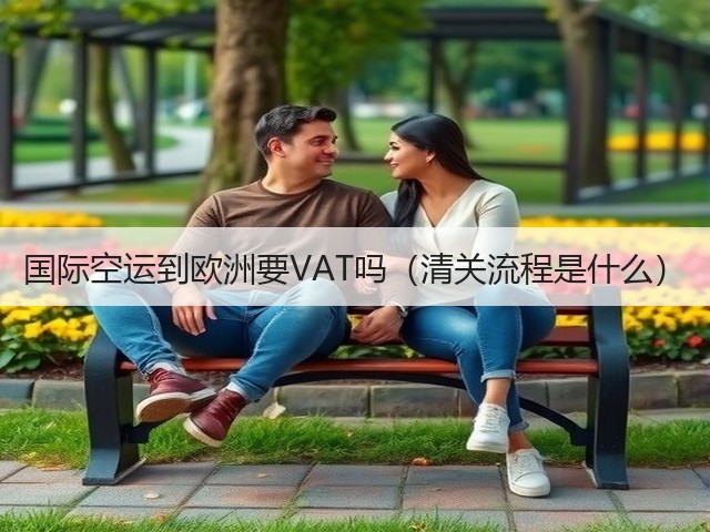 国际空运到欧洲要VAT吗(清关流程是什么)(图3) 国际空运到欧洲要VAT吗(清关流程是什么)(图3)