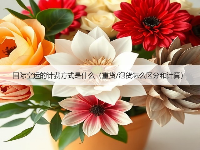 国际空运的计费方式是什么（重货/泡货怎么区分和计算）(图3)