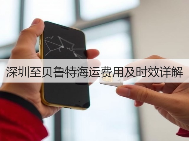 深圳至贝鲁特海运费用及时效详解(图3) 深圳至贝鲁特海运费用及时效详解(图3)