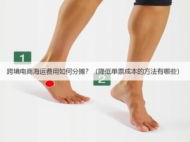 跨境电商海运费用如何分摊？（降低单票成本的方法有哪些）(图3)