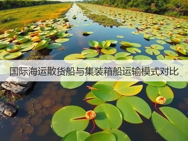 国际海运散货船与集装箱船运输模式对比(图3) 国际海运散货船与集装箱船运输模式对比(图3)