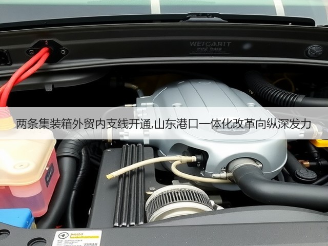 两条集装箱外贸内支线开通,山东港口一体化改革向纵深发力(图2) 两条集装箱外贸内支线开通,山东港口一体化改革向纵深发力(图2)