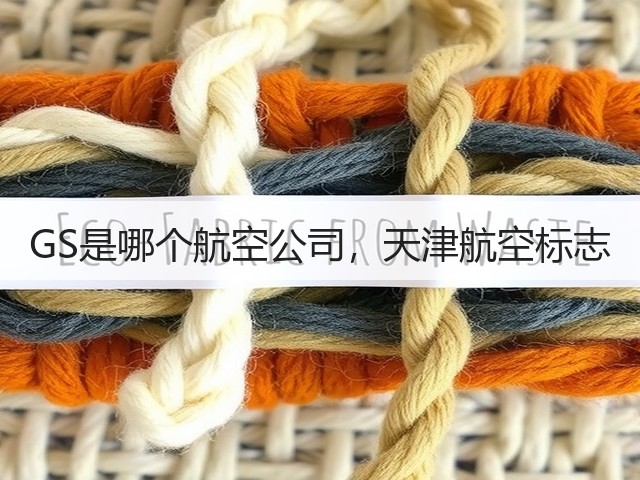 GS是哪个航空公司,天津航空标志(图3) GS是哪个航空公司,天津航空标志(图3)