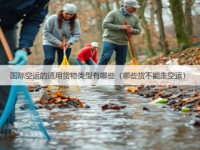 国际空运的适用货物类型有哪些（哪些货不能走空运）(图1)