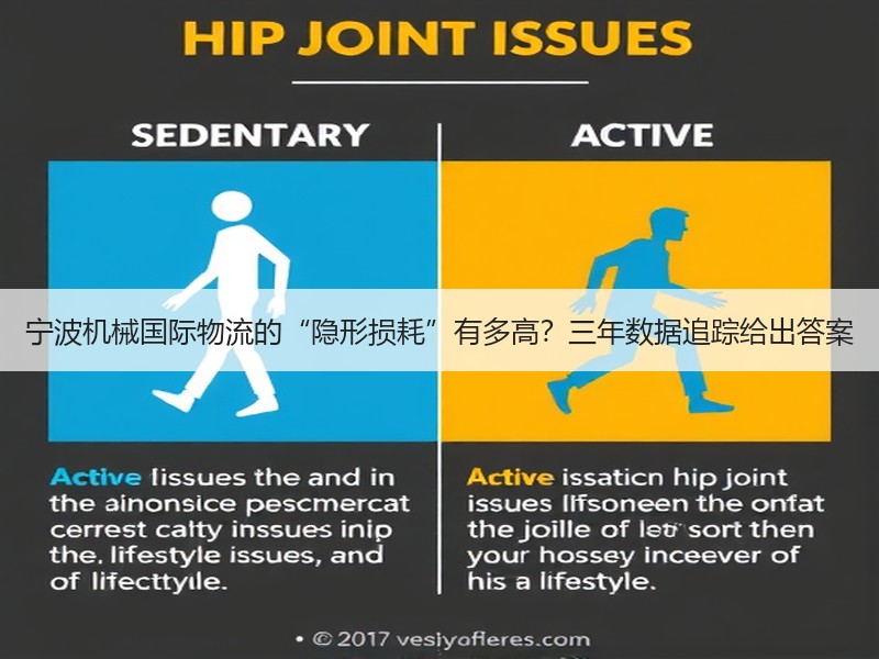 宁波机械国际物流的“隐形损耗”有多高？三年数据追踪给出答案