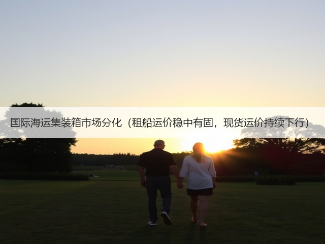 国际海运集装箱市场分化(租船运价稳中有固,现货运价持续下行)(图2) 国际海运集装箱市场分化(租船运价稳中有固,现货运价持续下行)(图2)