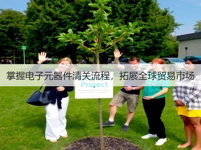 掌握电子元器件清关流程,拓展全球贸易市场(图3) 掌握电子元器件清关流程,拓展全球贸易市场(图3)