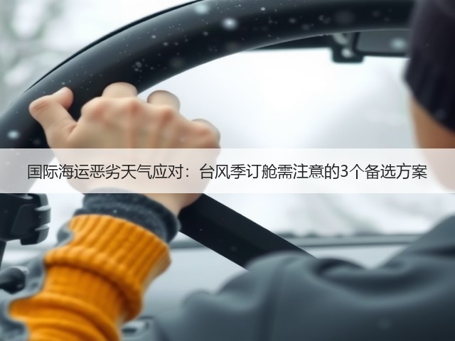 国际海运恶劣天气应对:台风季订舱需注意的3个备选方案(图3) 国际海运恶劣天气应对:台风季订舱需注意的3个备选方案(图3)