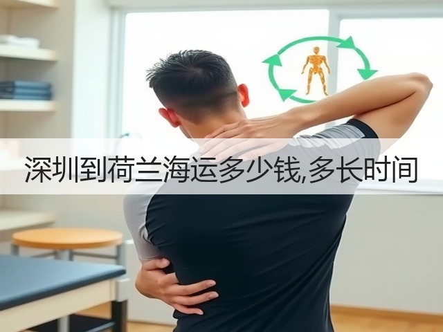 深圳到荷兰海运多少钱,多长时间(图3)