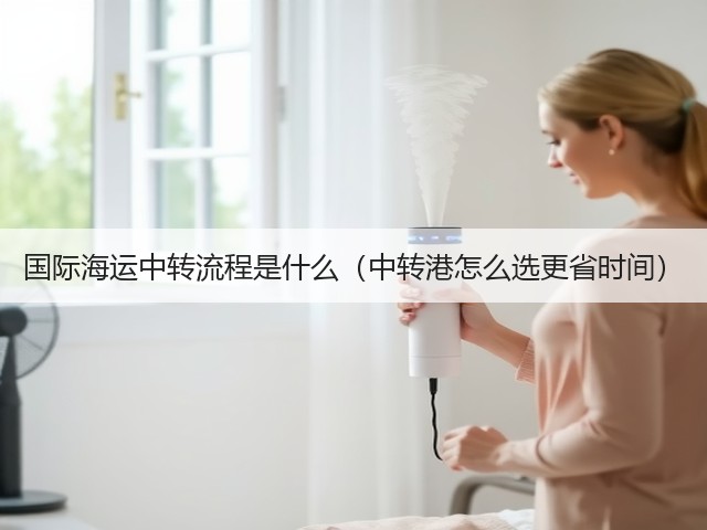 国际海运中转流程是什么(中转港怎么选更省时间)(图2) 国际海运中转流程是什么(中转港怎么选更省时间)(图2)