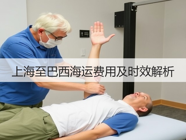 上海至巴西海运费用及时效解析(图3) 上海至巴西海运费用及时效解析(图3)