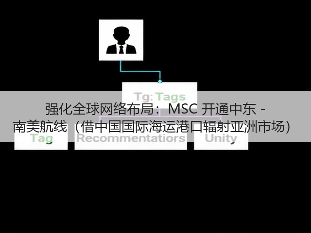 强化全球网络布局:MSC 开通中东 - 南美航线(借中国国际海运港口辐射亚洲市场)(图2) 强化全球网络布局:MSC 开通中东 - 南美航线(借中国国际海运港口辐射亚洲市场)(图2)