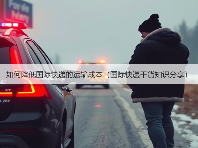 如何降低国际快递的运输成本(国际快递干货知识分享)(图2) 如何降低国际快递的运输成本(国际快递干货知识分享)(图2)