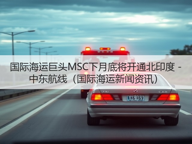 国际海运巨头MSC下月底将开通北印度 - 中东航线（国际海运新闻资讯）(图1)